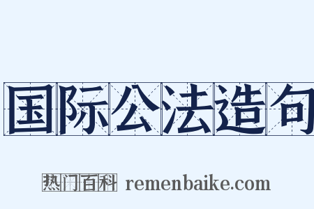 国际公法造句是什么意思的图片